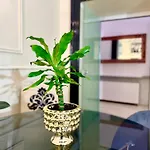 Madame Sofia Exclusive Collection Spanish Steps - Apartment-suites Apartment *