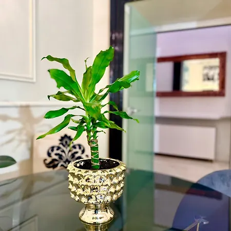 Madame Sofia Exclusive Collection Spanish Steps - Apartment-suites 아파트 *